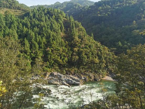 4212cbb2fc3c7ffe54b1f20d4c3e0d5